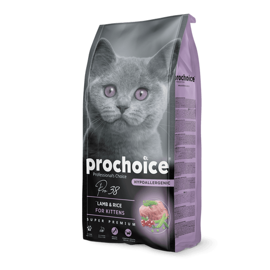 Pro38 Lamb & Rice Recipe | Kitten